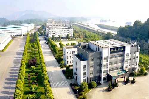 高能鹏富提前7个月完成2024年度全年业绩目标