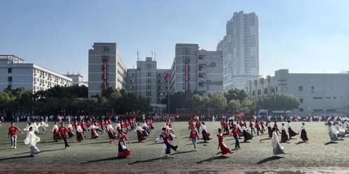 让运动成为一种习惯 湖北科技职业学院举办2023年秋季运动会