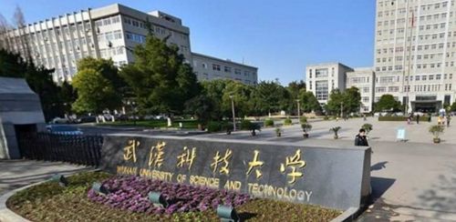 湖北科技学院是武科大吗