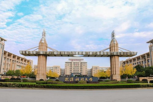 逐年增长 武汉科技大学就业好不好