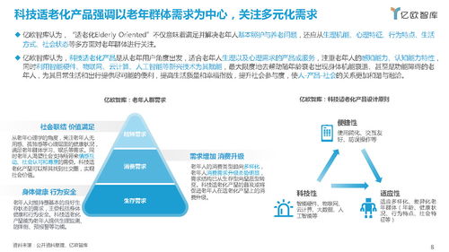 2021中国科技适老化产品研究报告 亿欧