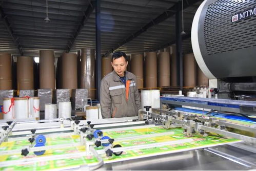 湖北宇兴环保 鄂西纸制品包装行业的 黑马