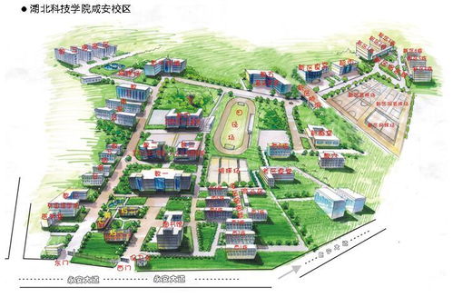 学校与湖北科技学院签署共建实习基地协议