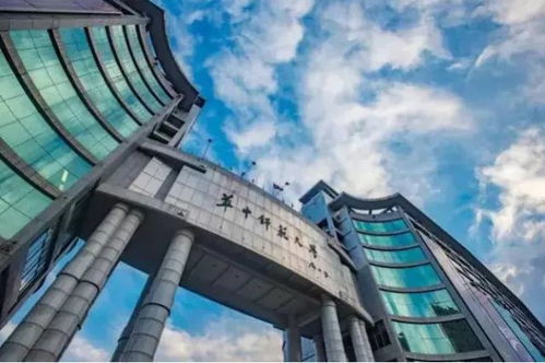 2018湖北省大学综合实力排行榜出炉 有你的母校吗