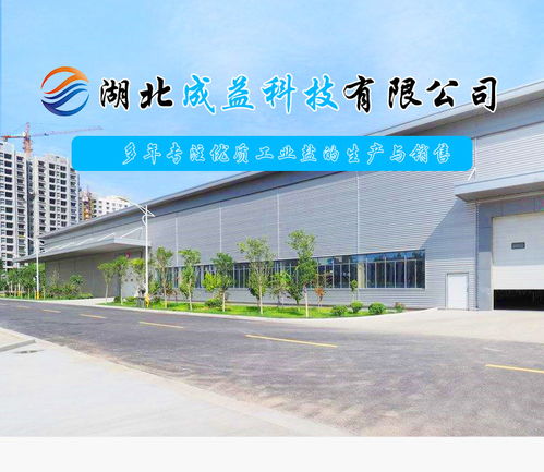 食用精制盐批发 湖北精制盐 成益科技