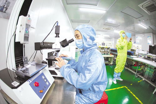 大冶 打造武汉城市圈同城化发展示范区