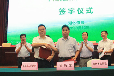 省农业科技“五个一”行动暨科技助力乡村振兴现场推进会在宜昌召开