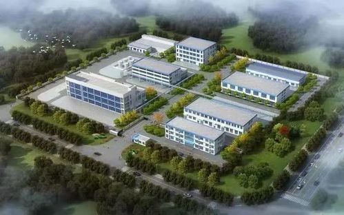 现场观摩 宜昌重点项目接受检阅,湖北科技引领发展新篇章